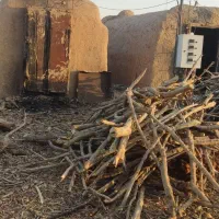 زغال کبابی|عمدهفروشی|یزد, |دیوار