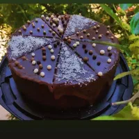 شکلاتی خیس موجود است