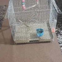 قفس