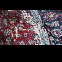 فرش کارکرده|فرش|قم, شهر قائم|دیوار