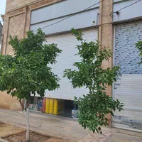 فروش مغازه ۵۵ متری در دشت چنار ابجوار|فروش مغازه و غرفه|شیراز, دشت چنار|دیوار