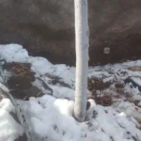 خدمات باغبانی|خدمات باغبانی و درختکاری|مشهد, کارگران|دیوار