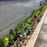 خدمات باغبانی باغچه کاری تعویض خاک گلدون گل وگیا