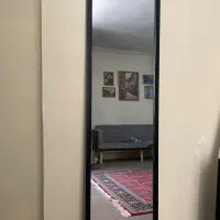 آینه قدی قاب مشگی