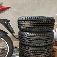 لاستیک دولتی