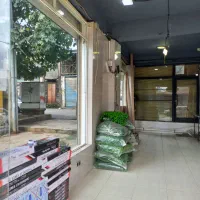 اجاره یک باب مغازه|اجارهٔ مغازه و غرفه|بندر انزلی, شاکوچه|دیوار