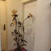 آباژور کنار سالنی