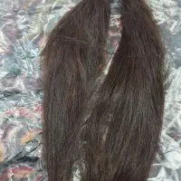 مو کراتین شده