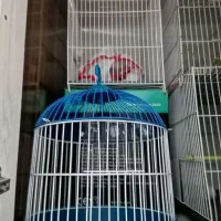سلام چند عدد قفس یدونش گرد و بقیه ساده