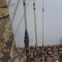 لنسرماهیگیری آلبستار