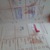 سگ خونگی پامر روباهی|سگ|سنندج, |دیوار