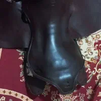 زین|اسب و تجهیزات اسب‌سواری|درگزین, |دیوار