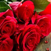 شرکت خدمات نظافتی پاک رویال