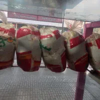 مرغ کشتار روز ،به قیمت روز عمده