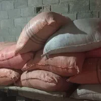 کاه