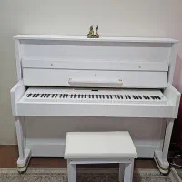 فروش فوری پیانو طرح دیجیتال نو نو