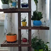 شلف چوبی|کتابخانه، شلف، قفسه‌های دیواری|ملایر, |دیوار