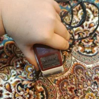 ماشین موزر اصل|آرایشگاه و سالن‌های زیبایی|قم, انسجام|دیوار