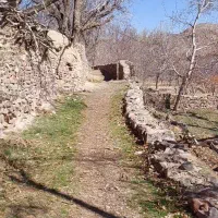 فروش زمین در باغستان درخش ، سرخنگ|فروش زمین و ملک کلنگی|قهستان, |دیوار