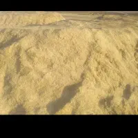 کاه گندم دیم سرگل