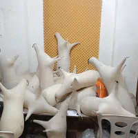 نی انبان یا نی همبون(خام)