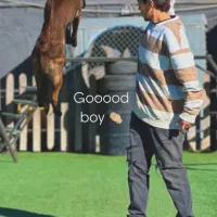 مربی سگ ، آموزش سگ|خدمات آموزشی|اهواز, کیانپارس |دیوار