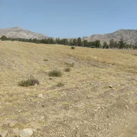 فروش  زمین  ۹۵۰۰ متری در صالح آباد  درجای خوب