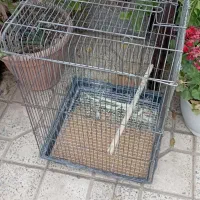 قفس پرنده