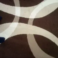 کارگر شستن فرش ونظافت منزل جزئی راه پله جلوی چشمت