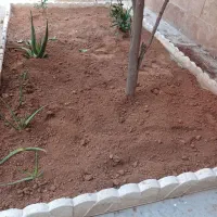 خاک باغچه درجه 1مخصوص باغچه ودرختکاری بانیسان|خدمات باغبانی و درختکاری|زاهدان, |دیوار