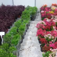 راهنمایی شروع کسب و کار