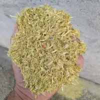 کاه عدس درجه یک 40تن|عمده‌فروشی|قیدار, |دیوار