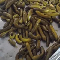 فروش جزئی وعمده خیار شور همدان