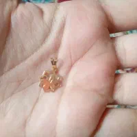 پلاک سبک نو