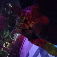 واگذاری گربه ی مصدوم