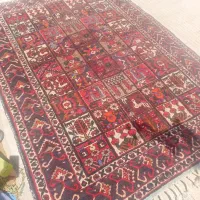 دو تخته فرش دستباف بی بی باف اردل|فرش|شهرکرد, |دیوار