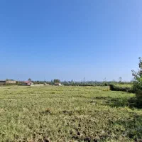 زمین ویلایی با ویو رویایی دریا و جنگل|فروش زمین و ملک کلنگی|چوبر, |دیوار