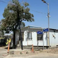 باغچه-ارکیده-اطلسی