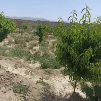 چهار دیواری ۵۰۰ متری/اسفهران/قیمت مناسب