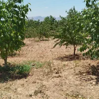 فروش زمین ۷۵۰ متری در محدوده پل زمانخان|فروش زمین و ملک کلنگی|اصفهان, آزادگان|دیوار