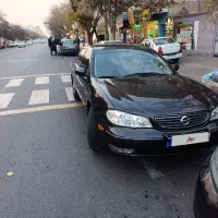 ماکسیما 85 طلای بازار