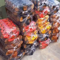 تولیدی دمپایی حراجی