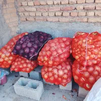 چهار  گونی پیاز طلایی قیمت توافقی