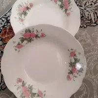 ظروف چینی گل قرمز 5 ستاره|ظروف سرو و پذیرایی|اصفهان, ارزنان|دیوار