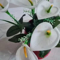 دکوری|مجسمه، تندیس، ماکت|قم, شهرک قدس|دیوار