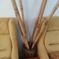 شش عدد بامبو|صنایع دستی و سایر لوازم تزئینی|پاکدشت, شهرک امام رضا|دیوار