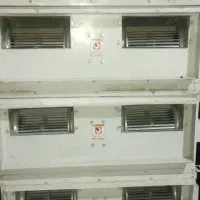 فن کوئل