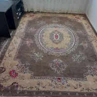 فرش 12 متری دست دوم پانصدشانه|فرش|تکاب, |دیوار