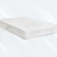 تشک بونل مارک رویا