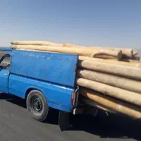 خریدار انواع چوب|خدمات باغبانی و درختکاری|اراک, |دیوار